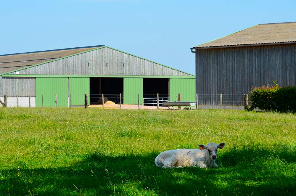 batiment agricole
